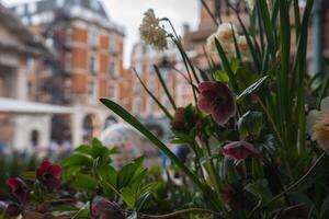A colorful floral arrangement in the foreground contrasts with red brick buildings and arched windows in a lively urban London setting. photo