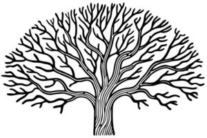 Intricate tree silhouette with branches spreading outward in black and white illustration vector