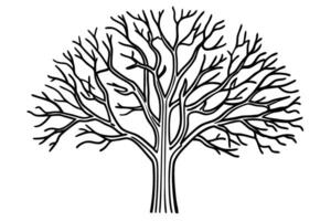 Intricate black tree silhouette on white artistic, nature concept, detailed branches design vector