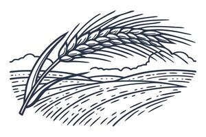 wheat field illustration with golden ears and rolling hills background vector