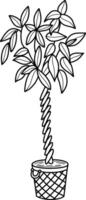home ficus plants in pot. sketch in doodle style vector