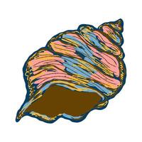 a colorful shell with a pink and blue stripe vector