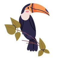 Toucan in minimal realistic flat style.Exotic rainforest and jungle bird. vector