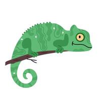 Cute chameleon in flat style. Smiling reptile crawling on a branch. vector