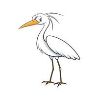 Cartoon Egret Illustration on White Background, Bird Art vector