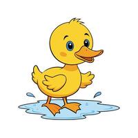 Cartoon duckling splashing in water puddle, yellow and happy vector