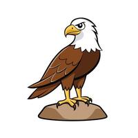 Cartoon Bald Eagle Standing on a Brown Rock vector
