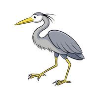 Cartoon Great Blue Heron Walking Isolated on White vector