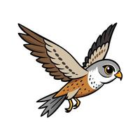 Cartoon American Kestrel Flying With Wings Spread Open vector