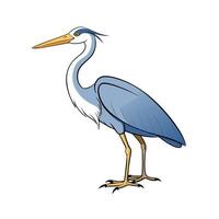 Cartoon Great Blue Heron Illustration on White Background vector