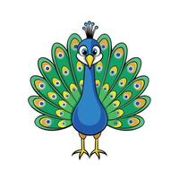 Cartoon Peacock with Feathers Isolated on White Background vector