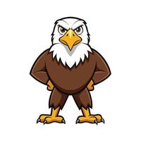Cartoon Eagle Illustration with a Fierce Expression vector