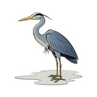 Cartoon Heron Standing in Water Graphic Illustration vector
