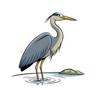 Cartoon Great Blue Heron Standing in Shallow Water. vector