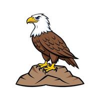 Cartoon American Bald Eagle on Rock, Illustration vector