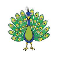 Cartoon Peacock with Beautiful Feathers on White Background vector