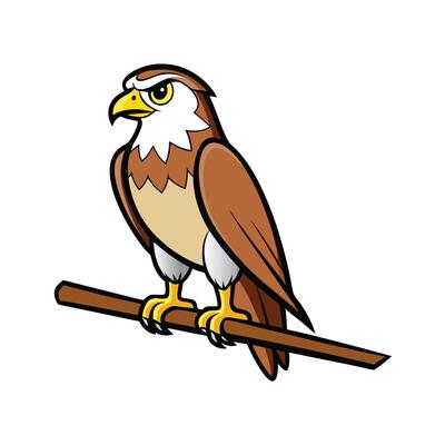 Cartoon Hawk perched on branch illustration image