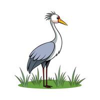 Cartoon Heron Standing in Grass Illustration Image vector
