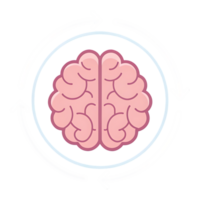 Brain in a circle with arrows, representing continuous learning and thinking. png