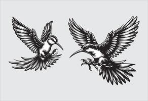 Illustration of a pair of Hummingbirds flying with a bird in its beak vector