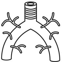 Bronchi outline icon vector