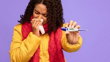 Fever Symptom. Sick Black Lady Showing Thermometer To Camera Sneezing In Tissue Standing On Blue Studio Background. Winter Cold And Flu Season, Coronavirus Disease Concept. Panorama photo