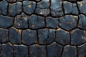 Cracked Earth Texture with Natural Patterns for Design and Artistic Projects photo