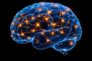 Digital Neural Network Visualization for Brain Science and AI Design photo
