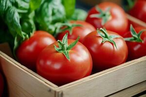 Fresh red tomatoes and green basil leaves resting in wooden crate photo