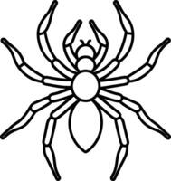 Arachnid Outline. Spider with Eight Legs and Simple Details Isolated on White Background vector