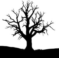 Silhouette of Spooky Old Tree with Bare Branches, Isolated on White, Black and White vector