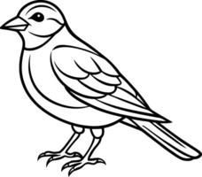 Bird Silhouette Outline, Black and White Standing Bird, Side View Detailed Line Art vector