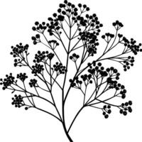 Gypsophila Silhouette Delicate Black Branches with Tiny Buds on White Background vector