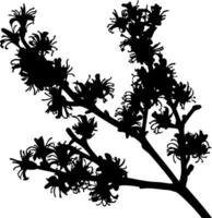 Blossom Tree Branch Silhouette with Dense Floral Pattern on Isolated White Backdrop vector