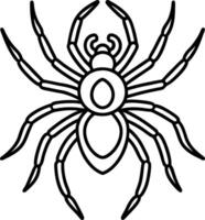 Detailed Line Art of Spider with Eight Legs Isolated on White Background, Arachnid vector