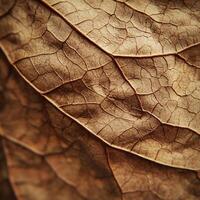 Intricate Texture of a Tobacco Leaf Captured in Stunning Macro Photography photo