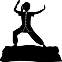 Silhouette of Asian Woman in Traditional Kung Fu Stance on Rock Formation vector