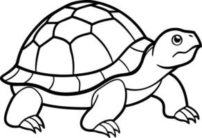 Simple Cartoon Turtle Illustration, Outline Style, Detailed Shell Pattern, Reptile vector