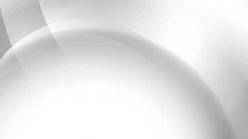 Abstract white and gray color, modern design stripes background with curve lines, illustr vector