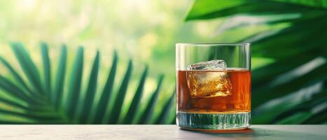 Savoring whiskey on the rocks tropical oasis beverage relaxing atmosphere close-up indulgence photo