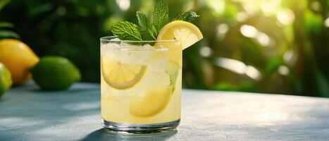 Refreshing lemonade drink tropical garden beverage photography natural lighting close-up summer vibes photo