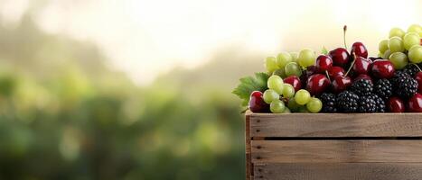 Harvesting fresh fruits a wooden crate of berries and grapes in a sunlit orchard photo