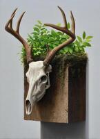 Artistic deer skull planter display modern home decor indoor environment unique concept photo