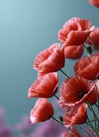 Vibrant poppy flowers blooming in nature close-up photography serene environment photo