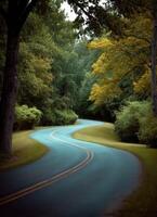 Curved scenic road surrounded by lush forest nature landscape photography tranquil environment photo