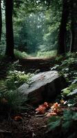 Exploring a serene forest path nature scene peaceful environment close-up view tranquility concept photo