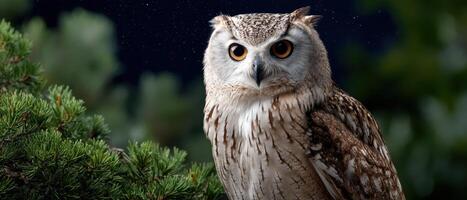 Majestic owl portrait in lush forest wildlife photography enchanting nature environment close-up view photo