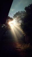 luz de sol rotura mediante arboles naturaleza escena al aire libre fotografía temprano Mañana niebla sereno atmósfera foto