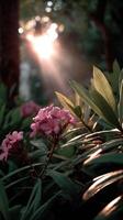 Sunlight filtering through leaves garden nature photography serene environment close-up view blooming flowers photo