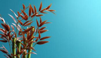 Bamboo plant growth indoor space photography minimalist close-up nature's beauty photo